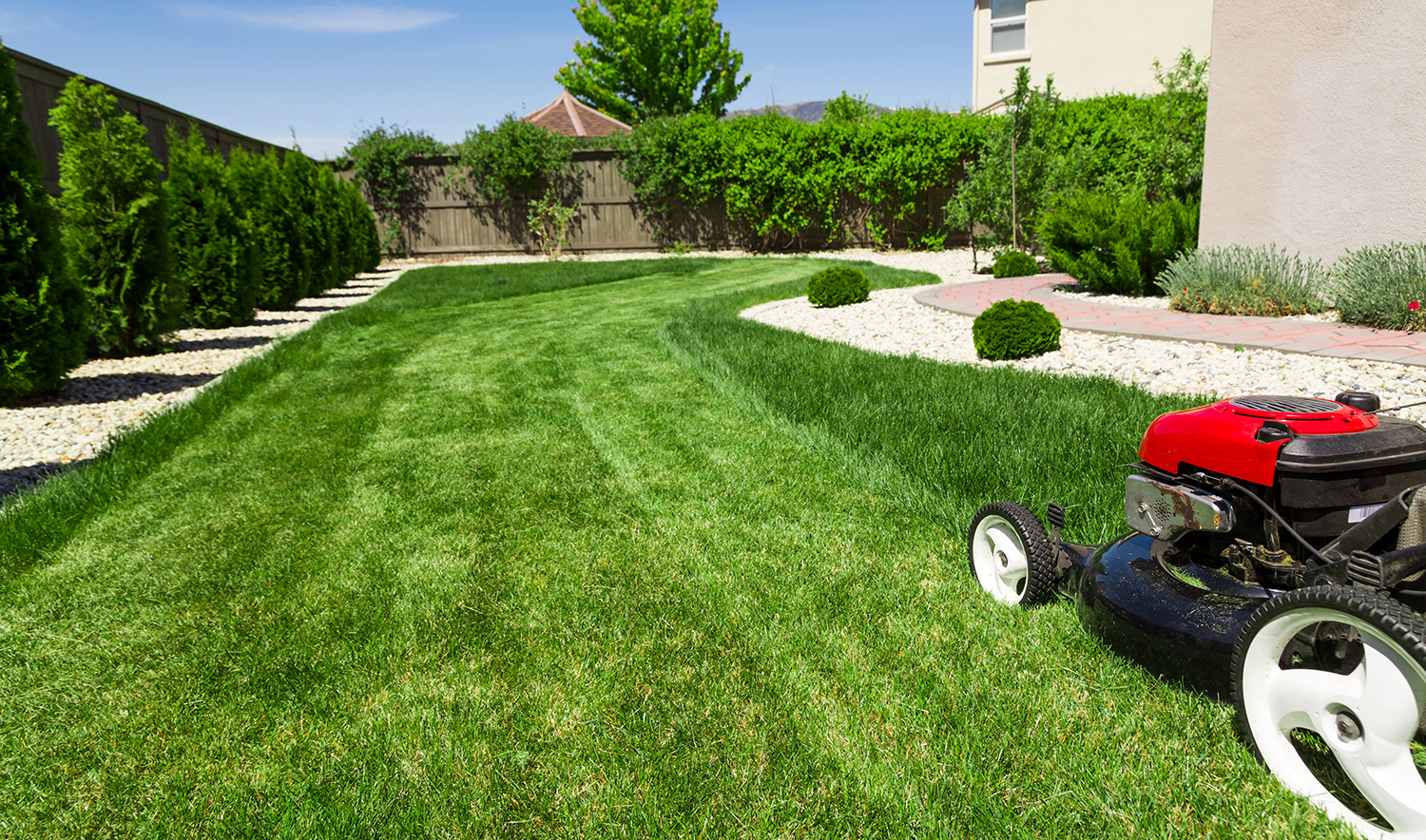 lawn care landscaping weed control
